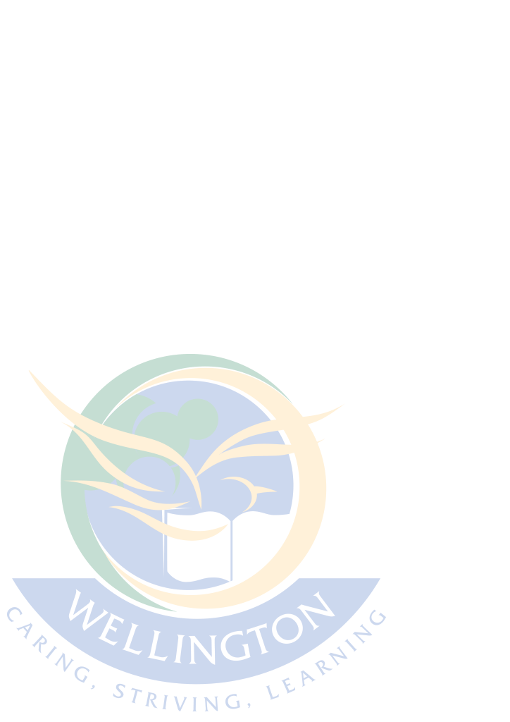 Internationalising Education at Wellington Secondary College